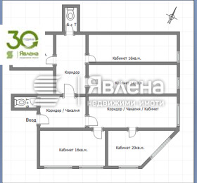 ����� ������� ����,���� �����, ��������