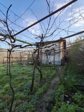 ����� ������� ����,�. ����, ������ ���������