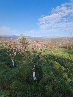 ������� ���� | Imot.bg � ����� ������ 8