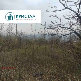 ������� ������ | Imot.bg � ����� ������ 8