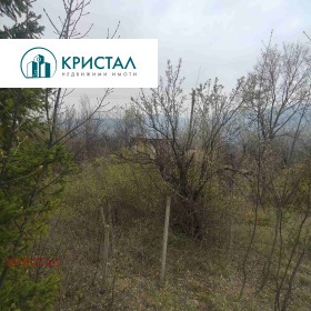 ������� ������ | Imot.bg � ����� ������ 7