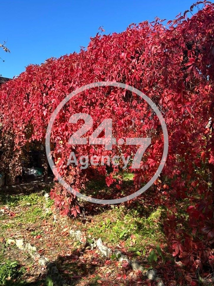 Na prodej  Dům oblast Varna , Prosečen , 117 m2 | 22808581 - obraz [16]