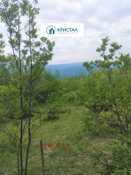 Продава ПАРЦЕЛ, с. Храбрино, област Пловдив, снимка 4 - Парцели - 54162125