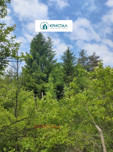 Продава ПАРЦЕЛ, с. Храбрино, област Пловдив, снимка 3 - Парцели - 54162125