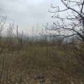 Продава ПАРЦЕЛ, с. Храбрино, област Пловдив, снимка 7