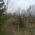 Продава ПАРЦЕЛ, с. Храбрино, област Пловдив, снимка 6