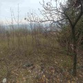 Продава ПАРЦЕЛ, с. Храбрино, област Пловдив, снимка 8