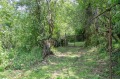Продава  Къща област Габрово , с. Свинарски дол , 300 кв.м | 43009932 - изображение [4]