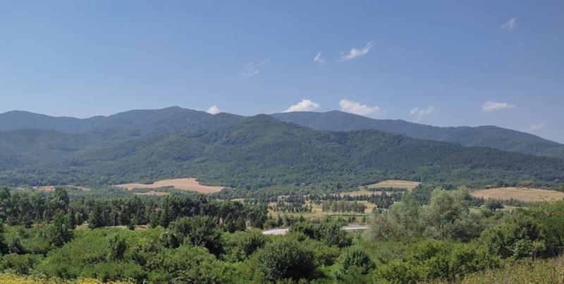 Продава ПАРЦЕЛ | Imot.bg — изображение 1