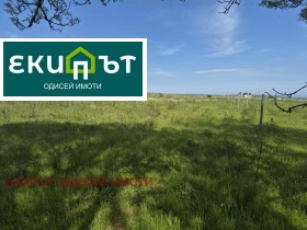 Plott Bliznatsi, region Varna 6