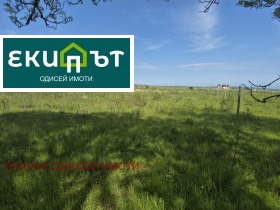Plott Bliznatsi, region Varna 5