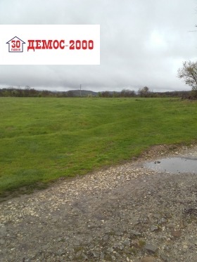 ����� ������� ������,�. �����, ������ ������ �������