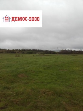 ����� ������� ������,�. �����, ������ ������ �������