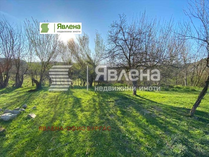 Продава КЪЩА, с. Марян, област Велико Търново, снимка 4 - Къщи - 48216766