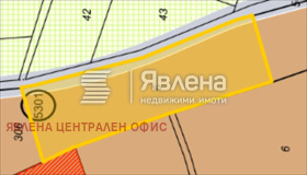 ����� ������� ������,���� �����, ��. ���� �����