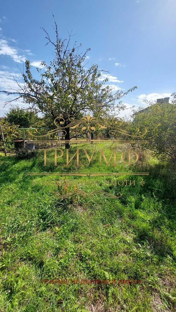 For Sale  Villa region Varna , Osenovo , 25 sq.m | 77721073 - image [5]
