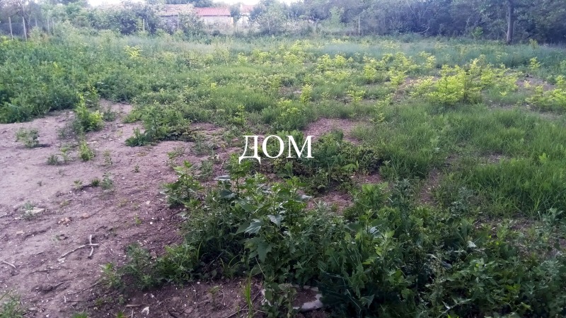 Продается  Сюжет область Шумен , Плиска , 1449 кв.м | 11925199 - изображение [5]