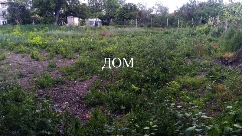 Продается  Сюжет область Шумен , Плиска , 1449 кв.м | 11925199 - изображение [8]