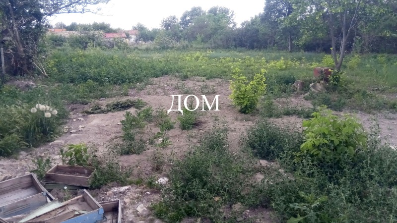 Продается  Сюжет область Шумен , Плиска , 1449 кв.м | 11925199 - изображение [2]