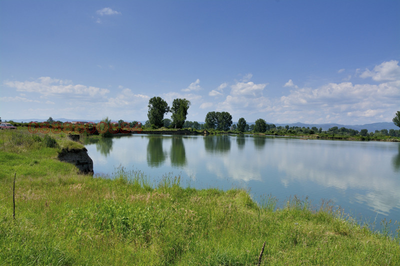 Na prodej  Spiknutí Sofia , Krivina , 12464 m2 | 28623090