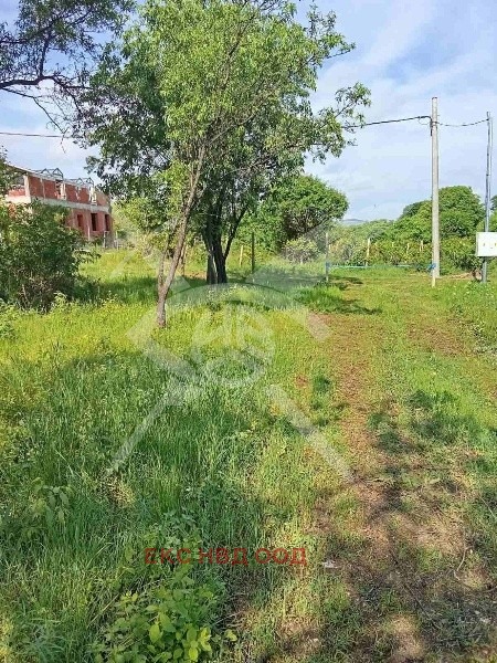 De vânzare  Complot regiunea Plovdiv , Marcovo , 751 mp | 49002313 - imagine [2]