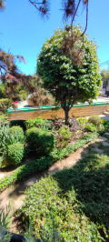 Продава КЪЩА, град Варна, м-т Евксиноград • 585000 € • 14615043 — Holmes.bg