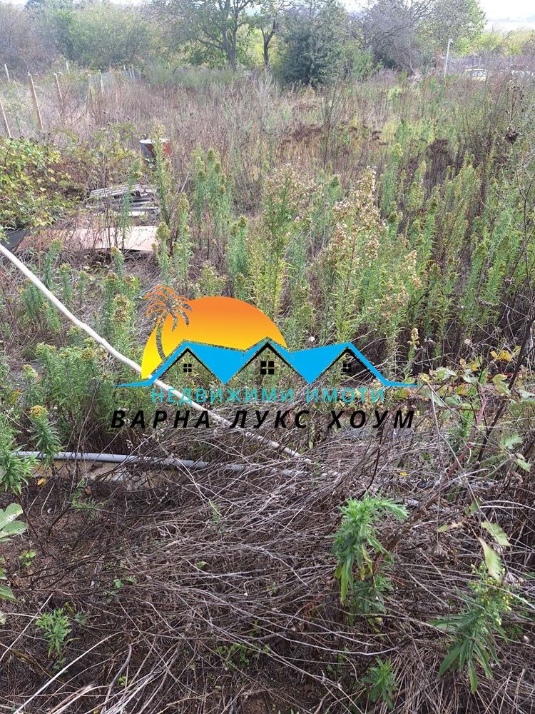 For Sale  Plot region Varna , Bolyartsi , 852 sq.m | 55234850 - image [2]