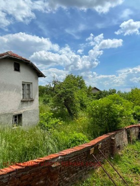 Haus Rasnik, region Pernik 6