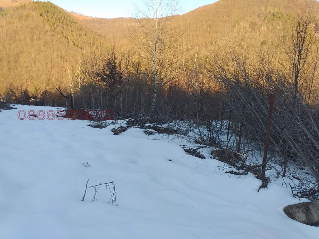 Продава ПАРЦЕЛ, с. Рибарица, област Ловеч, снимка 17 - Парцели - 56026351