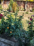 Продава КЪЩА, област Плевен, с. Крушовене • 56500 € • 61640063 — Holmes.bg