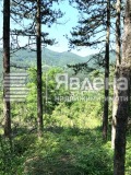 Продава  Парцел област София , с. Владо Тричков , 480 кв.м | 62156582 - изображение [2]