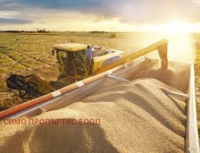 Продава ЗЕМЕДЕЛСКА ЗЕМЯ, с. Преселенци, област Добрич, снимка 4 - Земеделска земя - 54111320