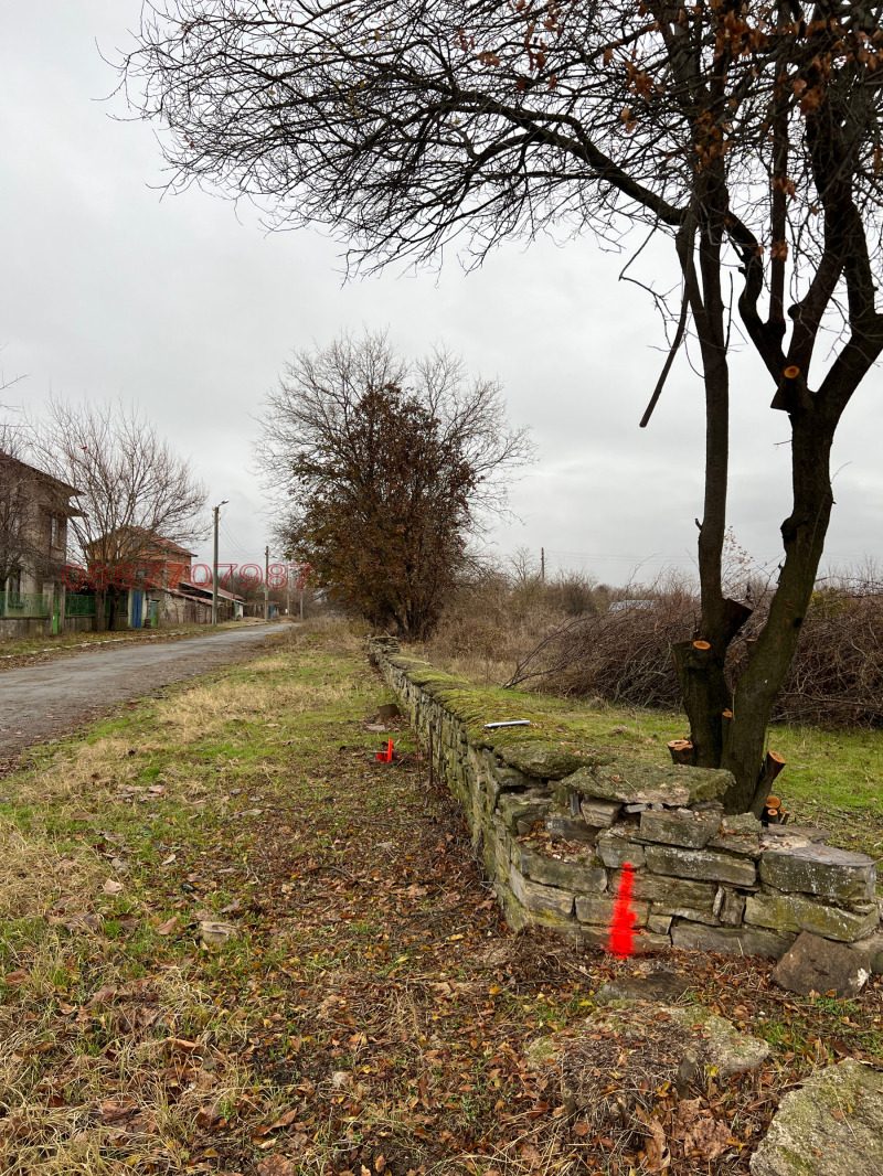 Продава БИЗНЕС ИМОТ, с. Ловец, област Стара Загора, снимка 3 - Други - 52783005