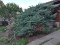Продава КЪЩА, град София, с. Панчарево • 435000 € • 39456271 — Holmes.bg