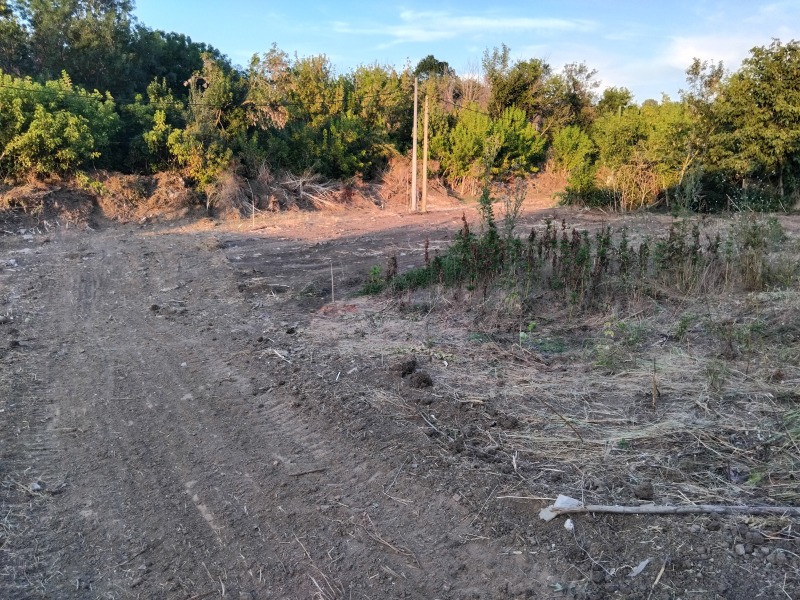 Na prodej  Spiknutí Ruse , v.z. Krasta , 3500 m2 | 61306820 - obraz [2]