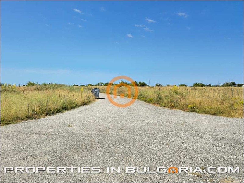 For Sale  Plot region Dobrich , Balgarevo , 6250 sq.m | 81730496 - image [4]
