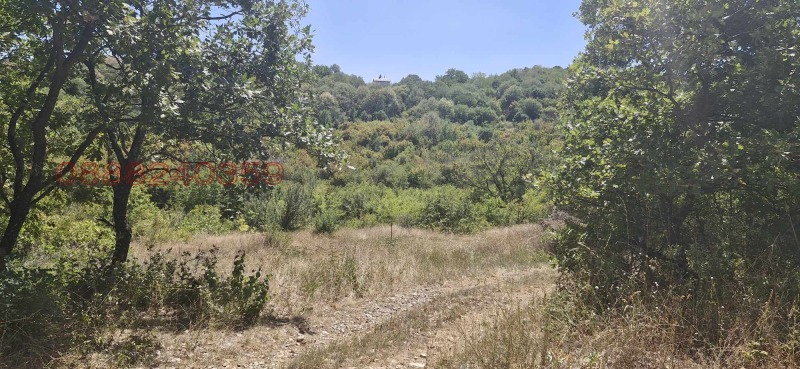 Te koop  Land regio Stara Zagora , Malka Vereja , 10 dka | 93685263 - afbeelding [3]