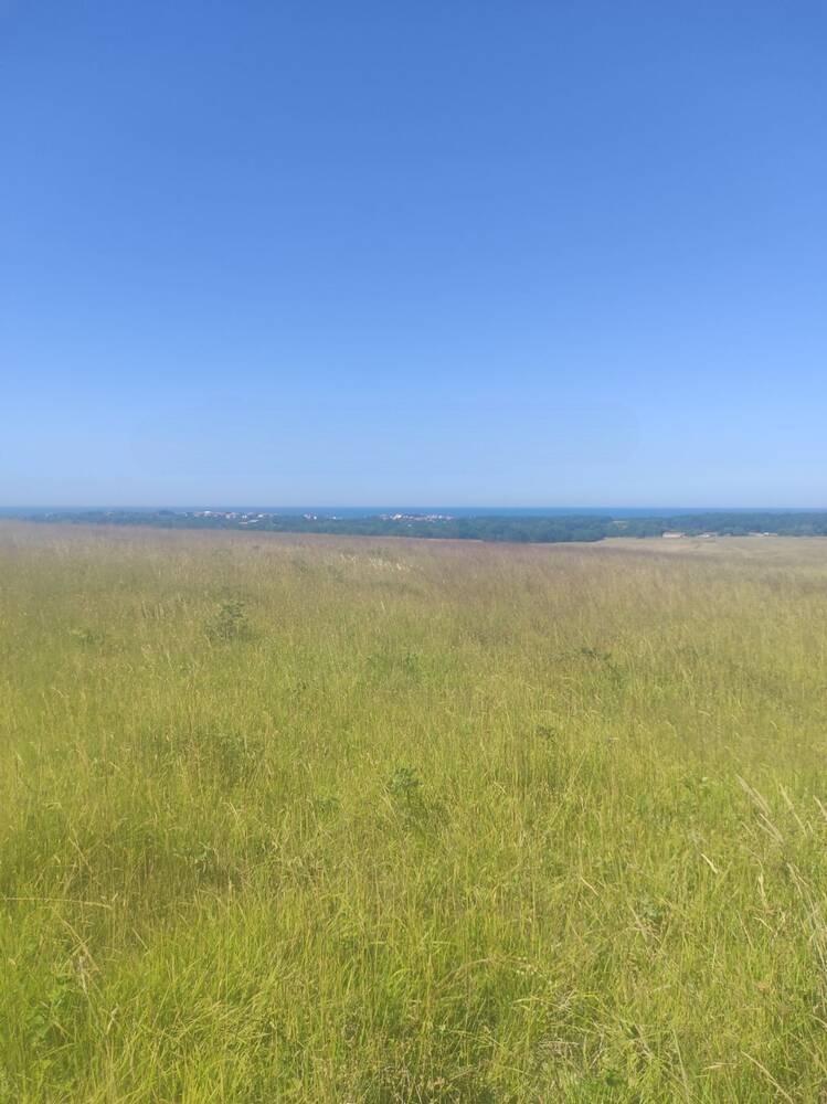 Na prodej  Spiknutí oblast Burgas , Emona , 6750 m2 | 81980475