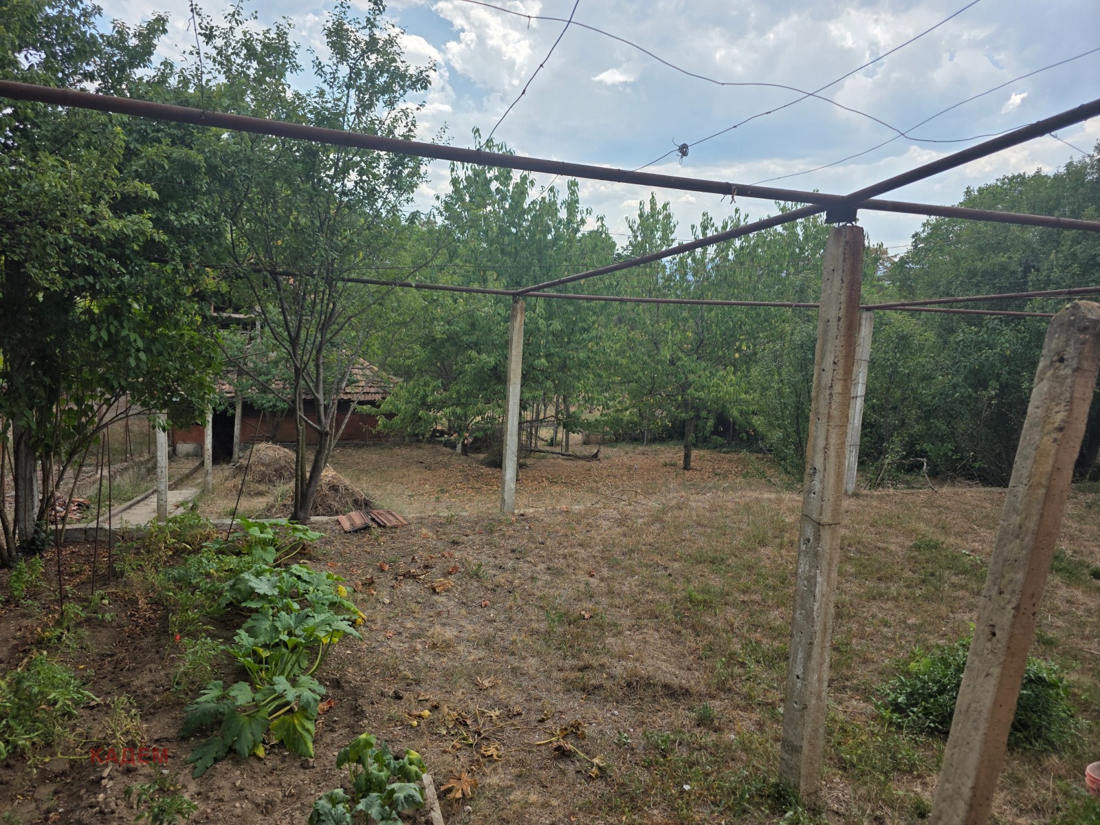 Продава КЪЩА, с. Коняво, област Кюстендил, снимка 7 - Къщи - 55823754