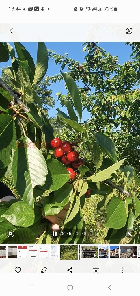 ������� ���������� ���� | Imot.bg � ����������� 1