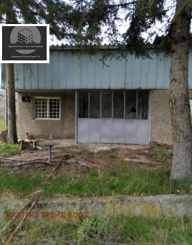 ����� ������� ����,�. ������, ������ ���������