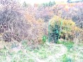 Продава ПАРЦЕЛ, гр. София, с. Панчарево, снимка 2