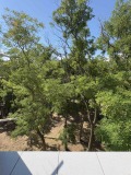 Продава 3-СТАЕН, град Бургас, Лазур • 210000 € • 89584945 — Holmes.bg
