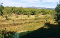 Продава  Къща област Кюстендил , с. Лиляч , 120 кв.м | 80824316 - изображение [4]