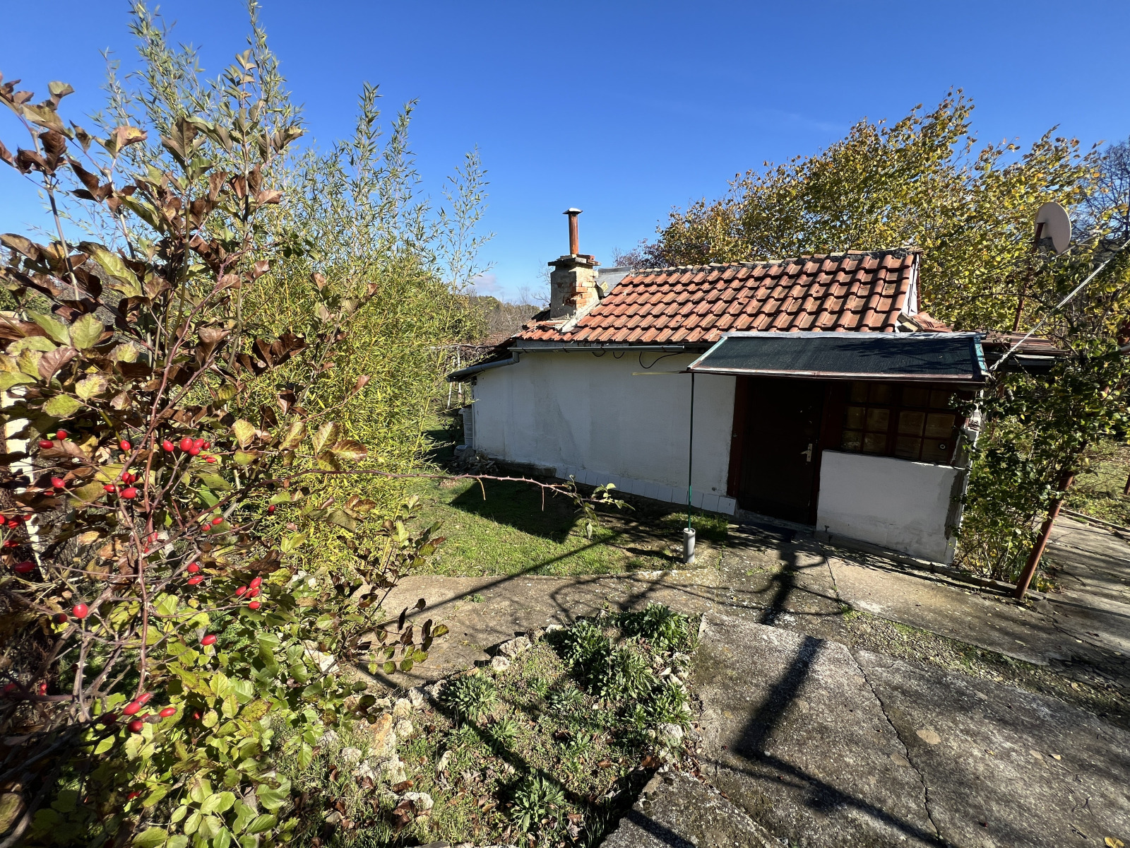 ������� ������ | Imot.bg � ����������� 7