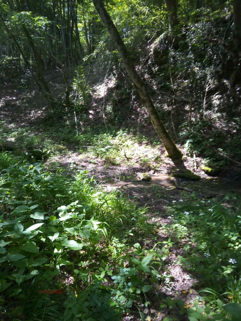 For Sale  House region Gabrovo , Kravenik , 226 sq.m | 46340441 - image [11]