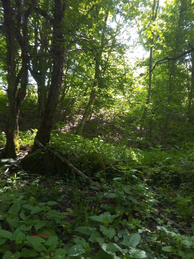 For Sale  House region Gabrovo , Kravenik , 226 sq.m | 46340441 - image [10]
