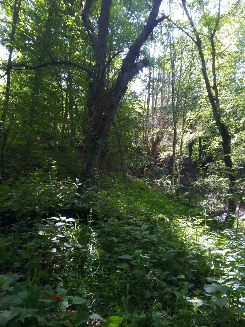 For Sale  House region Gabrovo , Kravenik , 226 sq.m | 46340441 - image [9]