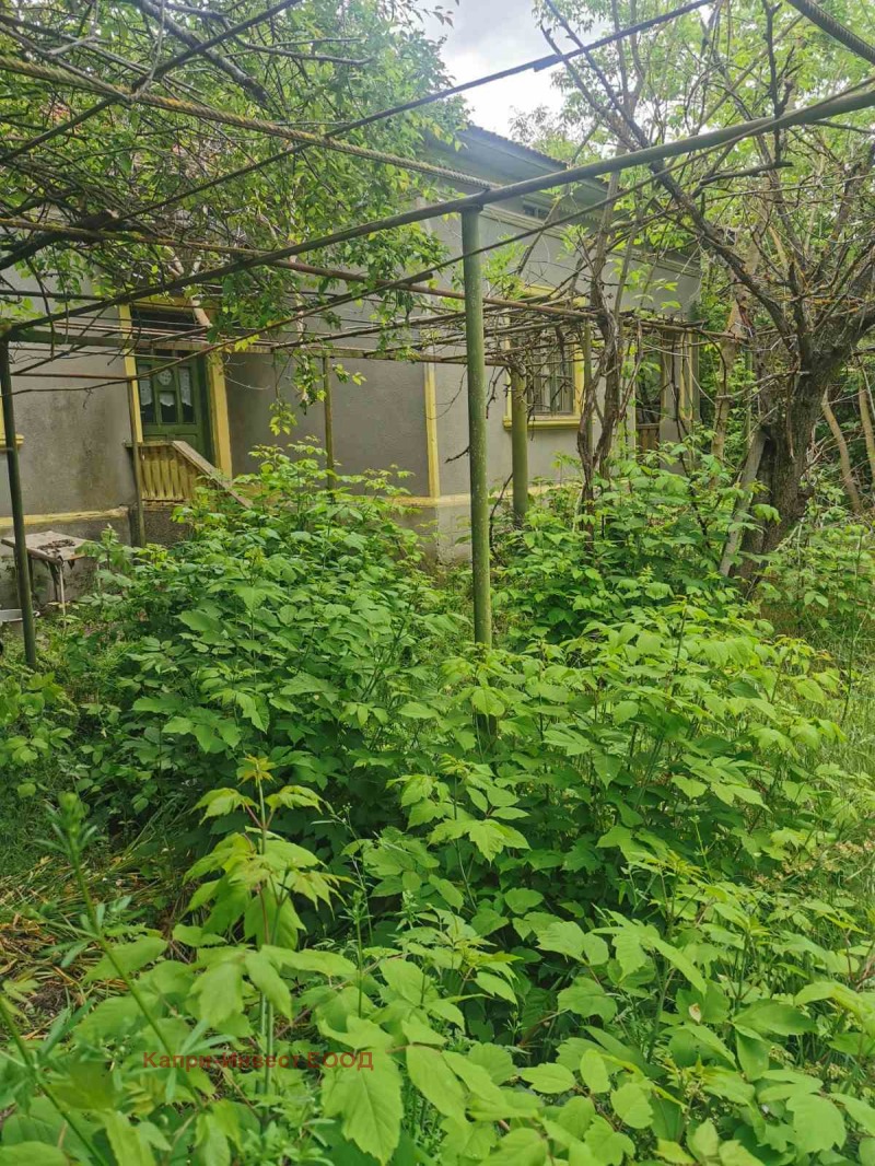 À vendre  Maison région de Dobritch , Medovo , 85 m² | 53655020 - image [3]