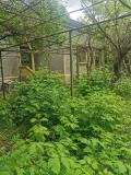 Продава КЪЩА, област Добрич, с. Медово • 7000 € • 47984565 — Holmes.bg